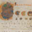 Accademia Corale AERCO Schola Gregoriana Ecce